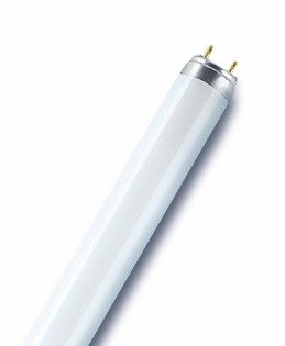 Люминесцентная лампа для прилавков-холодильников TL-D Food 18W/79 T8 G13 PHILIPS MASTER 928048002043