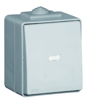 Выключатель одноклавишный наружный с подсветкой IP55 Efapel Waterproof48 серый (48012 CCZ)