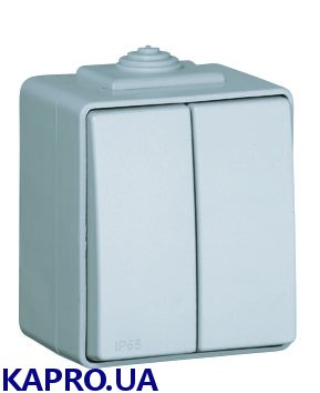Выключатель двухклавишный наружный IP65 Efapel Waterproof48 серый (48061 CCZ)